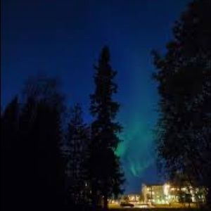 Meet your Posher, Isabella